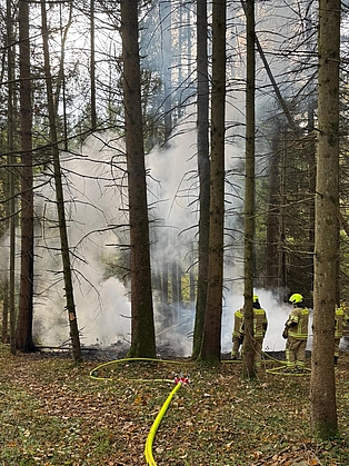 Schlauch und Feuerwehrleute im Wald, wo es brennt