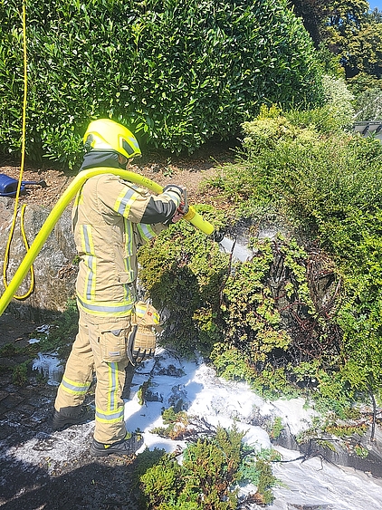 Feuerwehrmann benetzt Hecke mit Schaummittel