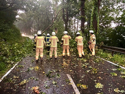 Feuerwehrleute vor umgefallenem Baum, der Straße kreuzt