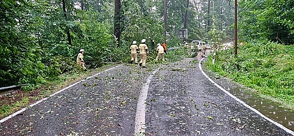 Straße, auf die ein Baum gefallen ist mit Feuerwehrleuten